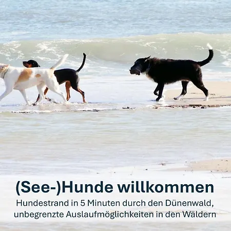Paradies-Ambiente - Strandnah, Sauna, Kamin, Hundefreundlich Zinnowitz Exterior photo