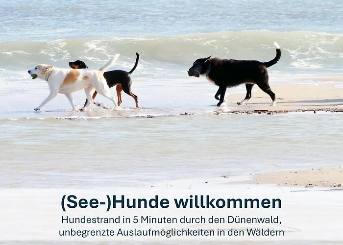 Paradies-Ambiente - Strandnah, Sauna, Kamin, Hundefreundlich