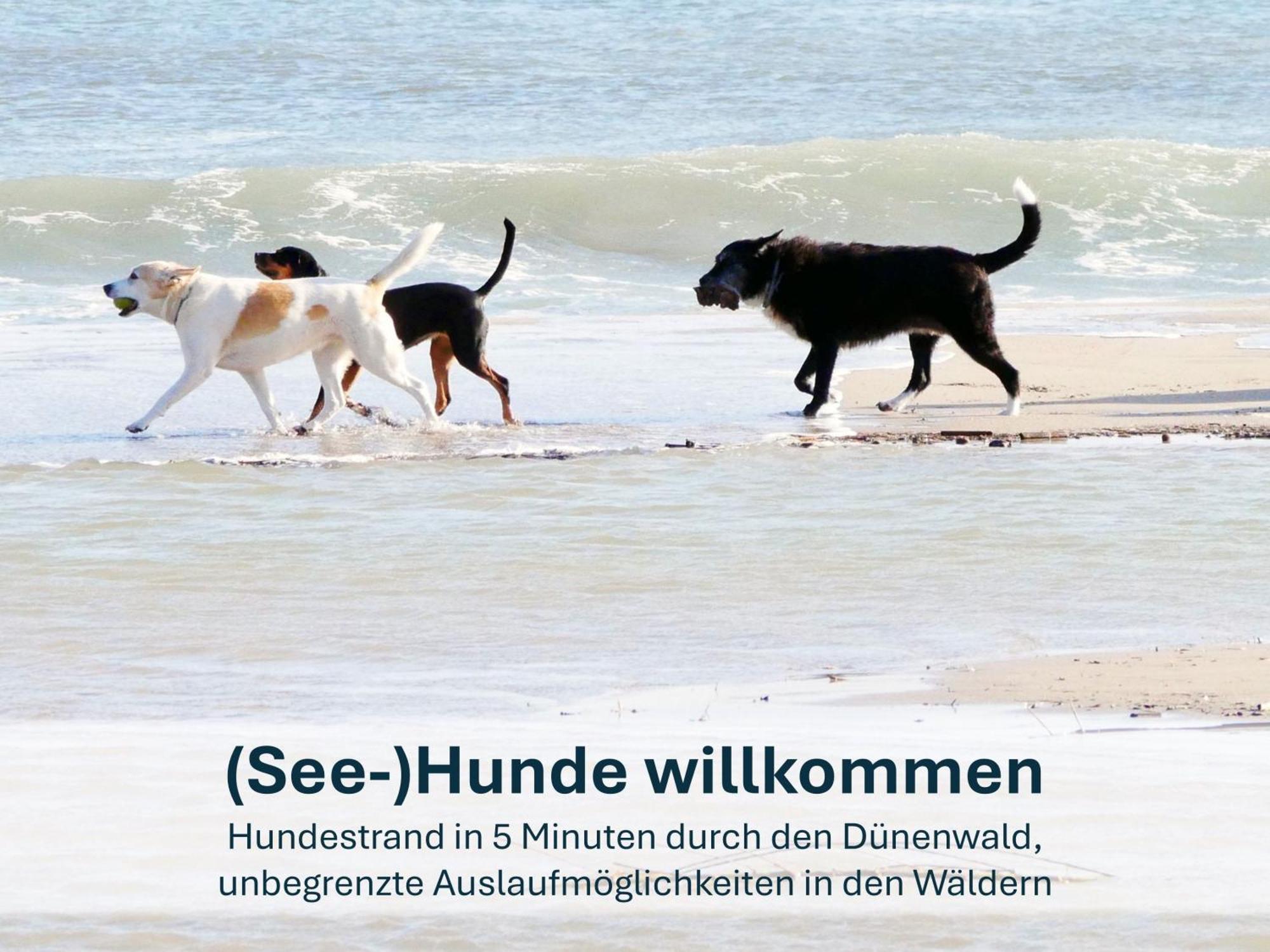 Paradies-ambiente - Strandnah, Sauna, Kamin, Hundefreundlich * Zinnowitz