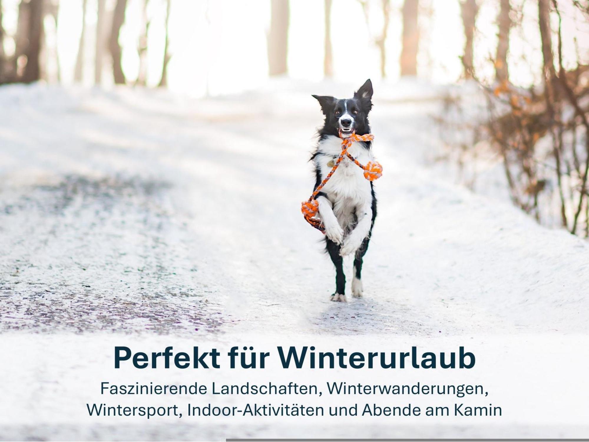 Paradies-ambiente - Strandnah, Sauna, Kamin, Hundefreundlich